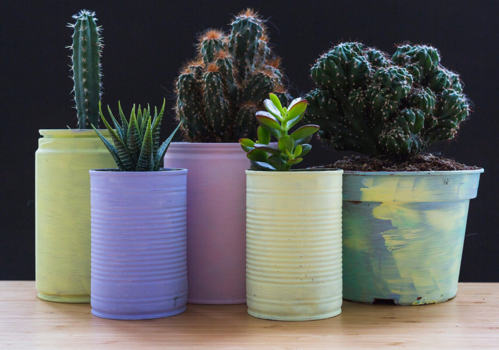 Latas e Vasos Reciclados