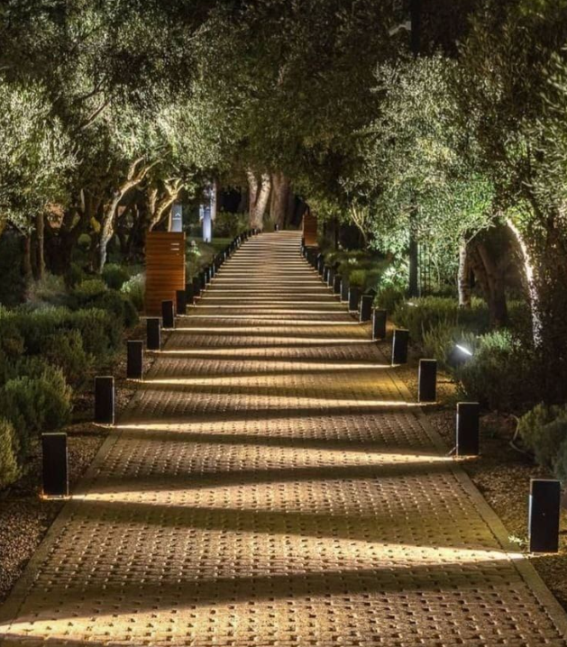 Caminho Noturno Iluminado